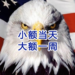 崖州要账公司
